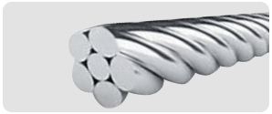 Co-Axial / Multistrand