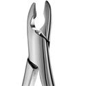 Hu-Friedy Extraction Forceps 99C SM Anterior..