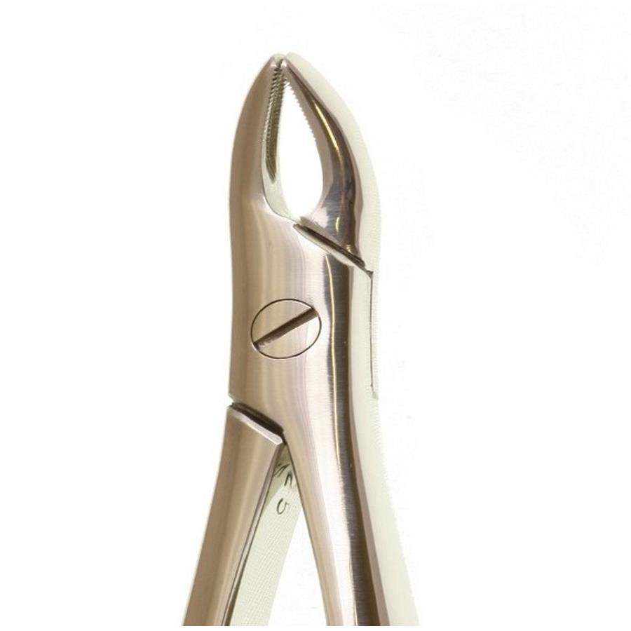 Perfection Plus Deluxe Extraction Forceps 76N | Dental & Chiropody Products